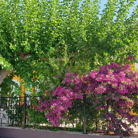 Theyellow House Ii Fully Equipped 2br Andipáta