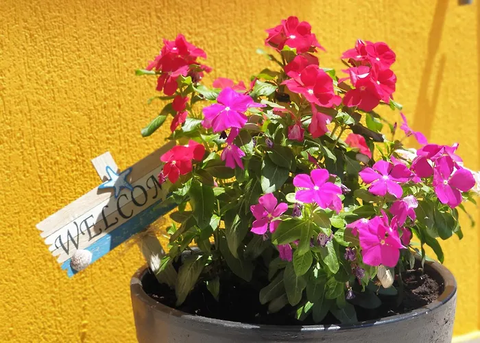 The Yellow House Ii 2br Retreat Near Myrtos * Andipáta